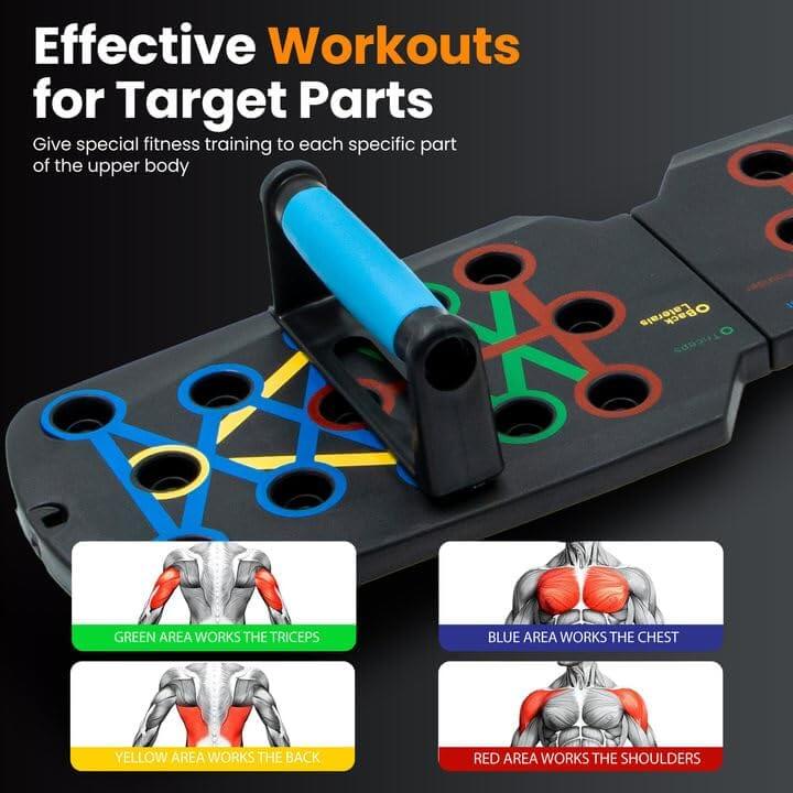 Zentheca PressSync™ push-up board with color-coded areas for effective workouts targeting chest, triceps, and shoulders.